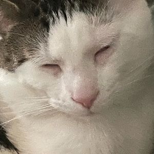 Meet your Posher, Mya